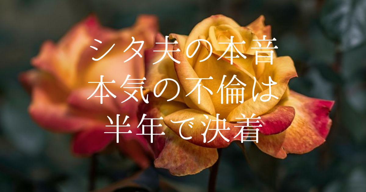 シタ夫の本音　本気の不倫は半年で決着