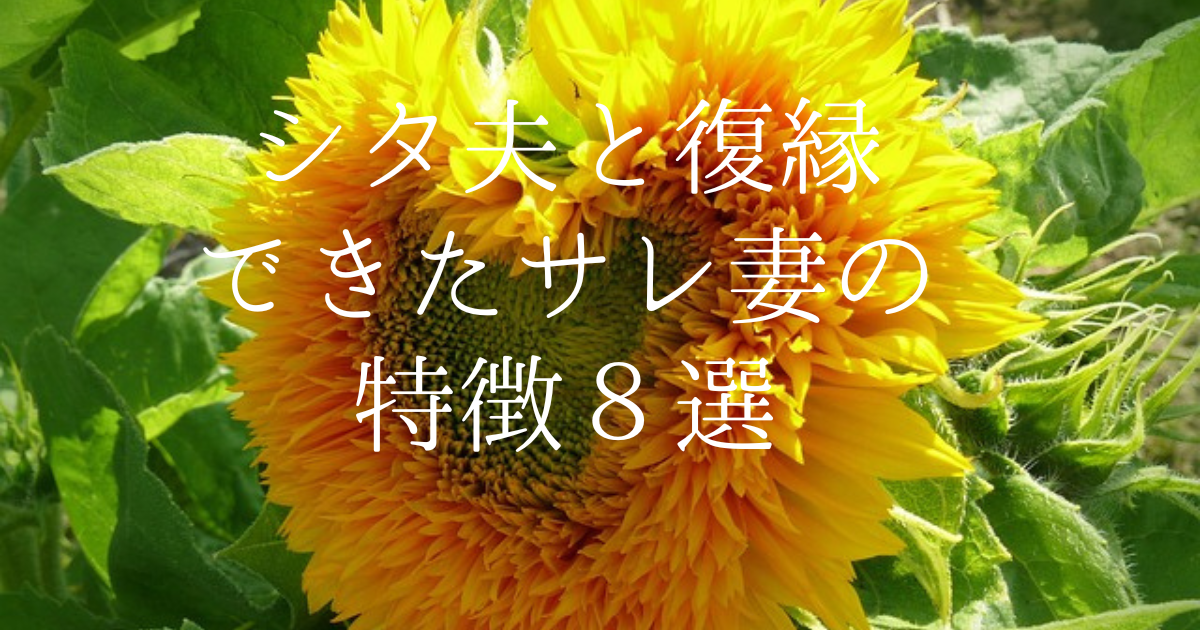 シタ夫と復縁できたサレ妻の特徴８選